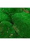 Mușchi (Moss) - 5