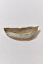 لوحة زخرفية من الراتنج الريش
