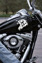 Eagle Car Sticker - Car Sticker with Eagle Figure - Car Motor Accessory 15X15Cm - 2