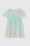 Baby Girl Embroidered Rose Detailed Mint Dress - 2
