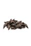 Premium Vietnamese Tiger Oud 36g - Rare, Natural Pure Agarwood Incense