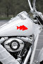 Fish Silhouette Car Window Sticker - Fisherman Sticker - Auto Sticker 15X8Cm - 4
