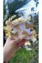 Cleo Gold Gold Buckle Set (Ribbon Bow Glitter Butterfly 3.2 Metal Clip)
