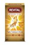 Ginseng Plus Capsules 30’S