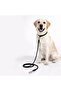 Polypropylene Rope Leash - 11Mm/180Cm - 2