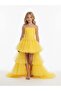 Girl's Tulle Front Short Back Court Train Evening Dress - 2