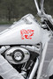 Dragon Sticker - Fire-Breathing Dragon Car Sticker - Car Motor Helmet Sticker 15X11Cm - 4