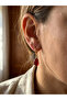 Red Pomegranate Seed Handmade Steel Earrings