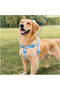 Swissplus Urban Paws Blue Batic Recycled H-Type Dog Chest Harness-2Xs - 4