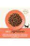 Cat Chicken & Salmon 2Kg - 3