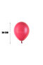 Pastel Balloons 20 Pieces 12 Inch 30 cm - 4