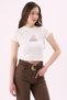 Crep Women's League Royalty Teddy Bear Printed Crop T-Shirt Crew Neck Short Sleeve – Slim Fit 100% Cotton