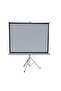 100-inch Portable Tripod Projection Screen - 5