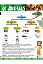 Explore Animal Kingdom Encyclopedia - 4