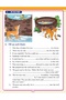 Graded English Grammar Part 2 - 5