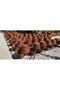 Wicker baskets - handmade - 4