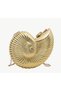 Gold Snail Bag with Shiny Mirror Effect Evening Dress Shoulder & Crossbody Women's Bag