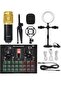 D6 Sound Card Mobile Phone Computer Recording Anchor Live Singing Song Artifact