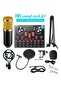 Adjustable Recording Condenser Microphone with Kit V8