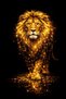 Gold Lion Painting – Black Background Luxury Canvas – Modern Living Room Wall Decor – Premium Lion Design
