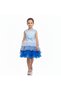 D' Daniela - Toddler Girls Bow Front Ombre Layered Gown Dress - Multicolor - 1Y to 6Y - 3