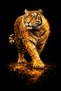 Gold Tiger Painting – Black Background Luxury Canvas – Modern Wall Decor – Premium Tiger Design