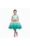 D' Daniela - Toddler Girls Bow Front Ombre Layered Gown Dress - Multicolor - 1Y to 12Y - 2