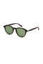 Sartiame C2 51 Photochromic Sunglasses