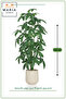 شجرة صناعية بطول 120 سم مع وعاء مضلع بيج اللون |   نبات زينة داخلي