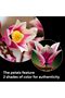 Botanicals Magnolia Branches - 4