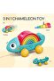 Rainbow Chameleon - 2