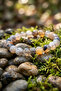 Natural Agate Stone Bracelet 8mm for Women and Men - Effective for Protection from Evil Eye - Abundance and Blessings Stone - 5
