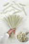 100 Pieces Off-White Chenille 30cm, Fuzzy Velvet Wire, Handicraft, Flower, Gift, Decoration, School, Event