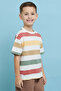 Striped T-Shirt with Crew Neck and Short Sleeves - 2