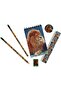Wild Stationery Set - Lion - 2