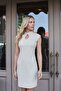Women's Lycra Fabric Lined Patterned Tulle High Collar Low Shoulder Above Knee Office/Evening Dress - 3