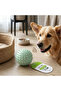 Spike Pet Toy Ball with Sound - 2