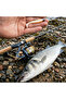 Minnow Shad Lrf Box - 2