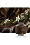 GOLDEN HOUR Scented Candle 150g, Long Lasting Aromatherapy Candles For Relaxation & Home Décor