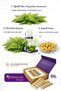 Supplementary Food Containing Lycopotene, Lycopene, Astaxanthin, Green Tea Extract, Zinc, and Vitamins - 2
