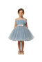 D' Daniela - Girls Bow Front Ruffle Mesh Gown Dress - Multicolor - 1Y to 12Y