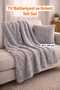 Welsoft Plush Tv Blanket 110X170 cm + Throw Pillow 40X40 Set of 2 Ultra Soft Gray