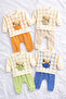 Baby Boy 0-24 Months Cute Teddy Bear Detailed Baby Set 100% Cotton Comfortable Set - 2