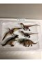 Century of the Dragon Dinosaur World Trex 5 Piece Toy Set - 2
