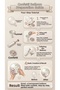 Eucalyptus White Balloon Set 20-Piece Silver Confetti Transparent Balloon Party Decoration - 3