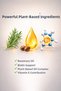 Natural Rosemary Oil Complex Hair Care Oil 2-Pack |   Care Oil for Damaged Hair |   Contains Biotin - 4