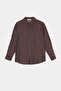 Brown-Blue Striped Comfortable Fit Shirt Tdrss26Go00080