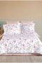 Dream Ranforce Single Duvet Cover Set Cotton Olivia - 2