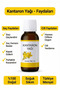 Natural St. John's Wort Oil 50 ml - 100% Natural Cold Pressed - 2