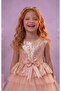 Birthday, Tulle Evening Dress Party Costume - 5